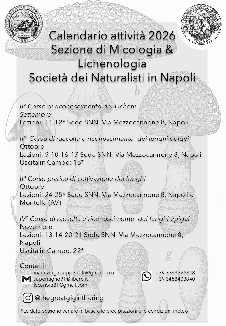 Corso di riconoscimento licheni e funghi